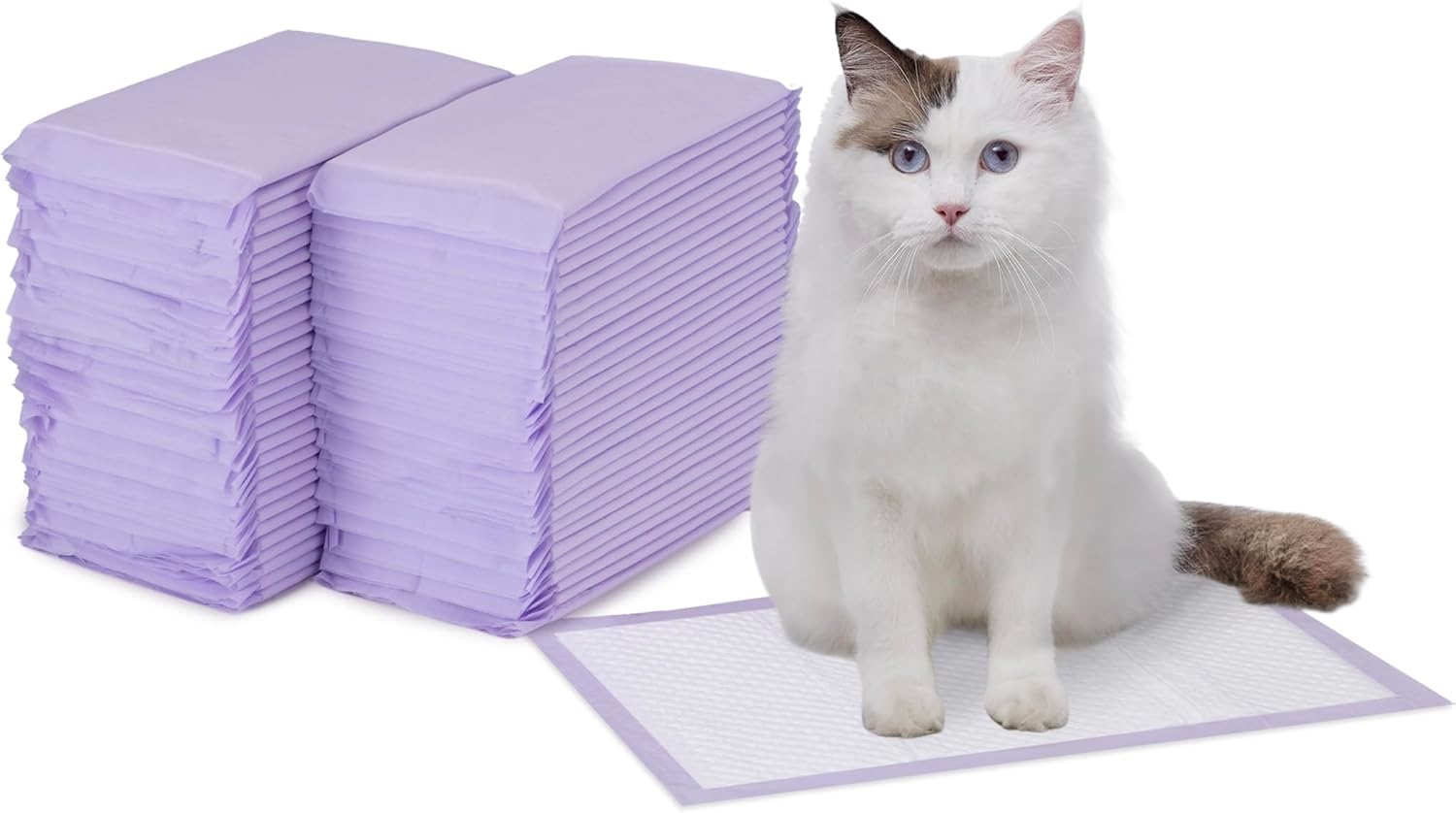 Basics Cat Litters Pee Pads, 40 Count, Universal Fit for Litter Box, Odor Control with Fresh Scent, Purple and White
