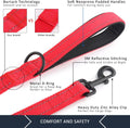 Pet Double Handle Dog Leash, 6ft, Padded, Heavy Duty, Reflective, Red, 2 Handle Leads