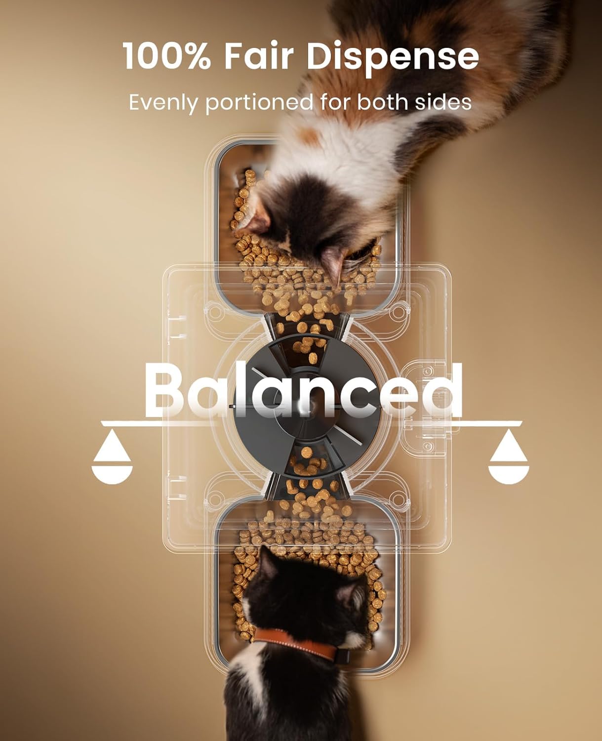 Automatic Cat Feeder for 2 Cats, 20 Cups/5L Automatic Cat Food Dispenser for Small Pets Indoor, Timed Cat Feeder for Dry Food