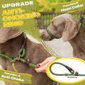 Durable Slip Lead, 6 FT x 1/2" Heavy Duty Loop Leash, Comfortable Strong Rope for Large, Medium Dogs, No Pull Pet Training with Highly Reflective, Green